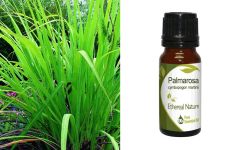 Ethereal Nature Palmarosa essential oil 10ml - Αιθέριο έλαιο Παλμαρόζα (Palmarosa) (Φοινικόροδο)