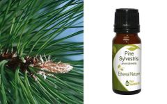 Ethereal Nature Pine Ess.oil (Pine Sylvestris) 10ml - Αιθέριο έλαιο Πεύκο 
