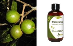 Ethereal Nature Macadamia carrier oil 100ml - Λάδι Μακανταμια (Βρώσιμο) 