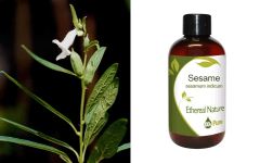 Ethereal Nature Sesame oil (Sesamum indicum) 100ml - Σησαμέλαιο έλαιο βάσης