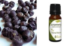 Ethereal Nature JuniperBerry (juniper berry) Essential oil 10ml