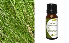 Ethereal Nature Vetiver Essential Oil 10ml