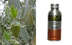 Ethereal Nature Organic Jojoba oil - 100% Pure