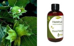 Ethereal Nature Hazelnut oil 100ml - Φουντουκέλαιο 