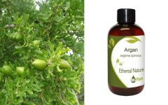 Ethereal Nature Organic Argan Oil 100ml - (Argania Spinosa)