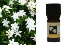 Bioaroma Gardenia fragnance.oil 5ml - Αρωματικό έλαιο Γαρδένιας (Gardenia jasminoides) 