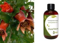 Ethereal Nature Οργανικό Έλαιο (Λάδι) Ροδιού - Pomegranate Organic