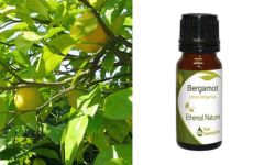 Ethereal Nature Bergamot ess.oil 10ml - Αιθέριο έλαιο Περγαμόντο 