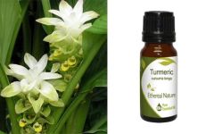 Ethereal Nature Turmeric (Curcuma Longa) Essential oil 10ml