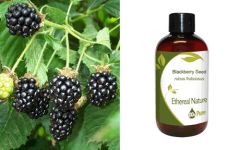 Ethereal Nature Blackberry seed oil 100ml - Βατόμουρο Λάδι 