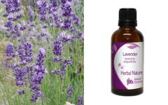 Herbal Nature Lavender Tincture 50ml - Λεβάντα βάμμα (Lavandula Angustifolia) 