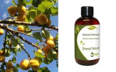Ethereal Nature Apricot Kernel oil 100ml - Βερικοκέλαιο (Prunus Armeniaca) 