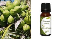 Ethereal Nature Coconut Fragrance ess.oil 10ml - Aromatic coconut essential oil