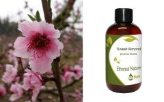 Ethereal Nature Sweet Almond Oil 100ml - Αμυγδαλέλαιο έλαιο βάσης