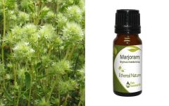 Ethereal Nature (Marjoram) Μαντζουράνα αιθέριο έλαιο 10ml - Thymus mastichina