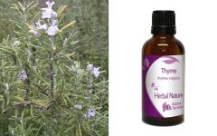 Herbal Nature Thyme (thymus vulgaris) tincture 50ml - Θυμάρι βάμμα 
