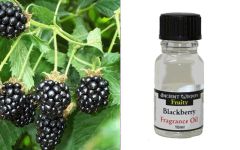 Ancient Wisdom Blackberry aromatic oil 10ml - Blackberry (Βατόμουρο) Αρωματικό έλαιο χώρου