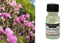 Ancient Wisdom Japanese Magnolia aromatic oil 10ml - Γιαπωνέζικη Μανόλια