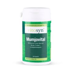 Metapharm Vitosyn Mumjovital (bones,muscles,cartilage) 60.caps - συμπλήρωμα για οστά και ανάρρωση με Mumjo και βιταμίνες 