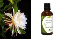 Ethereal Nature Night Flower fragnance oil 100ml - αισθησιακό, μεθυστικό, απόλυτα καθηλωτικό το άρωμα νυχτολούλουδο