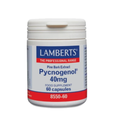 Lamberts Pycnogenol 40mg 60.caps - εκχύλισμα πυκνογενόλης από το φλοιό του πεύκου Maritime
