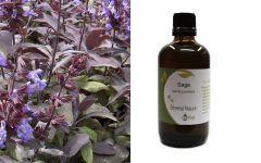 Ethereal Nature Sage carrier oil 100ml - Sage oil