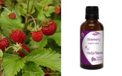 Herbal Nature Strawberry (Fragaria) tincture 50ml - Fragaria vesca tincture